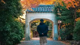 Le Jules / Djar One - Milton Glaser (lyrics video)