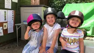 Humaryn Shetland Pony Rides | Dartmoor | Devon (Party Ponies)