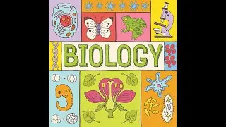 SSCE, WAEC, NECO - PRACTICAL BIOLOGY ON FRUITS