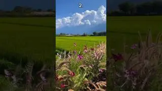 😊which place gives you chill vibes #shorts #travel #aurora #aesthetic #relax #vibes #chill #asmr