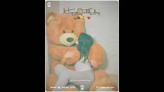 Teddy Day Status 2021 | Happy Teddy Day Shayari Status | Teddy Day Status| Happy Teddy Day 2021