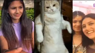 Instagram viral Funny Videos || Meme videos || Dank Indian memes || #viral #video #trending
