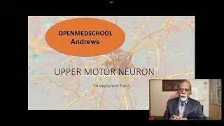 Motor system 4- Extrapyramidal tracts