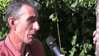 1ère Fête de la Tomate aux Jardins de l’Abbaye de Valsaintes – Haute-Provence