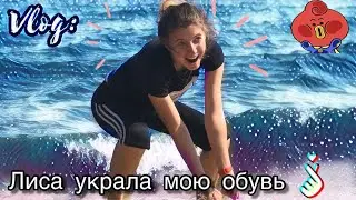 VLOG: Живу в ПАЛАТКЕ // ЛИСА УКРАЛА МОЮ ОБУВЬ