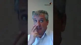 Estrategias para el manejo de reproductoras pesadas🐔