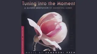 Tuning into the Moment