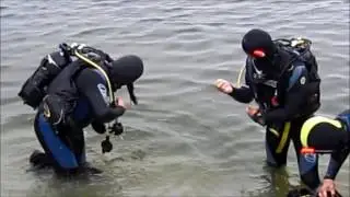 Motivation, Motivācija, Motivaci&oacute;n - for diving and not only