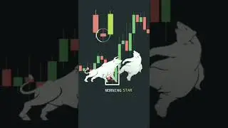 Morning Star Caldelstick,($🤑