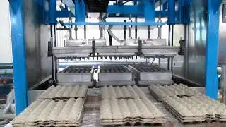 Egg Tray Pulp Molded Machine, Paper Tray equioment, Semi automatic Process of Forming