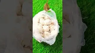 Salt on garlic most useful kitchen tips. #savitakitchen #healthyfood #recipe #gujaraticooking