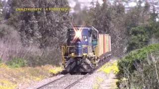 Trenes en el ramal a Cartagena