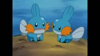 So I heard you like Mudkips? (Going Quantum) Dubkips?