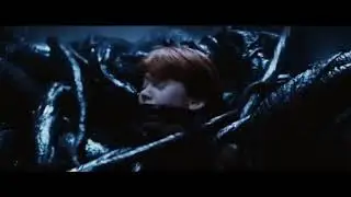 Ron in Trouble (Harry Potter Devil's Snare)