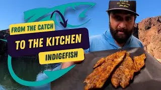From Monster Fish to Midnight Feast &mdash; Cooking Our Colorado River Stripers! #fish #fishing #river