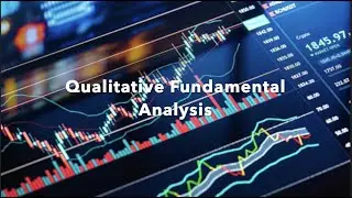 Qualitative Fundamental Analysis