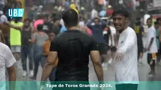 Topes de Toros Granada 2024