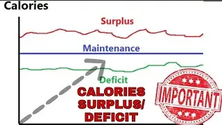 DIFFERENCE BETWEEN CALORIES DEFICIT AND SURPLUS|HOW TO BE IN CALORIES DEFICIT/SURPLUS|CORRECT WAY ✅.