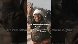 K&uuml;rt&ccedil;e anlamlı s&ouml;zler Azad kavri helbest K&uuml;rt&ccedil;e s&ouml;zler Helbesten kurdi Gotinen kurdi Kurdish