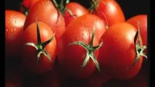 Male Italian Voice Over Angelo Cola Gino's Hidden Italy