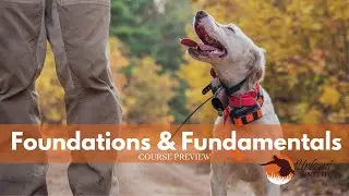 Upland Institute: Foundations and Fundamentals