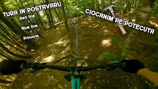 POSTAVARU si CIOCANEALA PE POTECA | RED+BLUE LINE+PRIMARIE | Propain Tyee :D