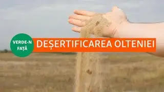 Triunghiul de nisip al Olteniei. Cum s-a extins deșertul din sudul României după 1850