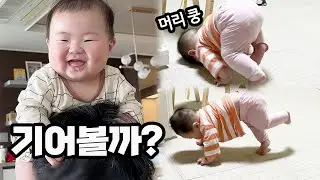 100번 넘어져도 다시 일어나서 도전하는 6개월 아기 노랑이!