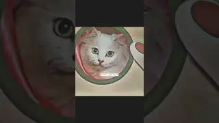 Giga Chad Jack Attitude Status 😈 | Oggy and the cockroaches edit | #shorts #anime #viral