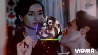 Hitler didi serial BGM Lofi