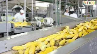 Overview of Fruits and Vegetables Processing Industry