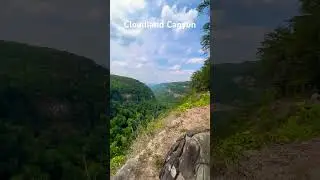 Cloudland Canyon. The most underrated place in Georgia. #gorges #canyon #nature #hikes #scenic