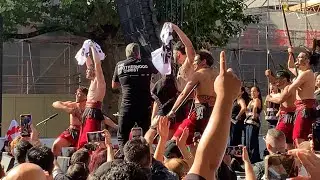 Haka Strength! Māori Warriors Tear ISIS, Palestine, & MB Flags at UK Rally!