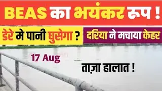 DERE BEAS मे पानी घुसेगा ? BEAS का भयंकर रूप !  ताज़ा हाल 17 Aug 