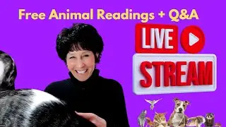 FREE Live Pet Readings & Q&A