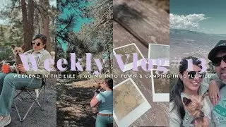 Things to Do in Idyllwild California 2025 | Brewery, Going into Town & Camping Vlog | Bianca Janel