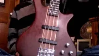 Washburn T24 Taurus Bass Review