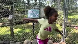 Runaway Dog 2 - Movie