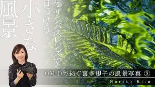 OM-Dで紡ぐ喜多規子の風景写真　第３話「オリンパスレンズで見つける小さな風景」～OLYMPUS LIVE 2021～