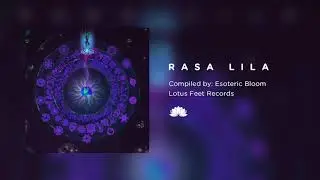Dewaka - Wise Organism