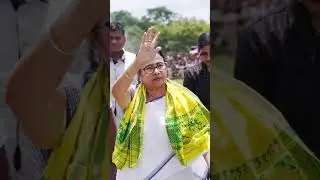 Mamata Banerjee 💚 | CM of West Bengal | Famous Politician #westbengal #shorts #viralshorts #short