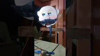 Pasqually Lipsync test                   (Bottango)