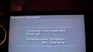How To Get Your PSP to Allow Internet