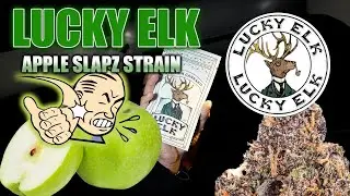 Lucky Elk Apple Slapz Strain Review