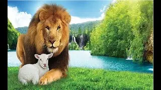 Online Worship - Sunday November 16, 2025