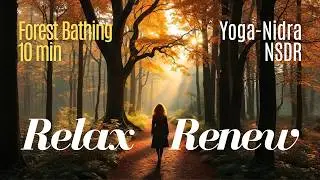 10 minute guided meditation for relaxation [Forest Bathing in English] NSDR Yoga-Nidra Stress-Relief