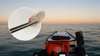 Kayak fishing Mount Martha, Mornington Peninsula  - I make sashimi!
