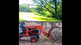 Tree felling and Kubota BX grapple work.