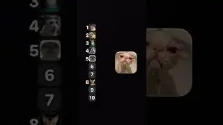 guys don't crusify me this is blind ranking you don't know what comes