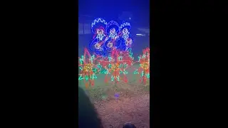 Christmas lights and family fun!